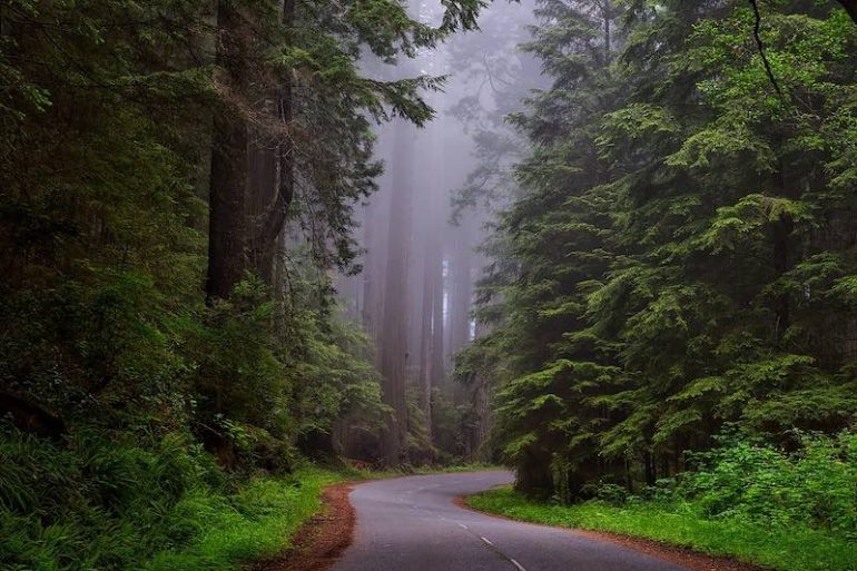 cosa vedere in california