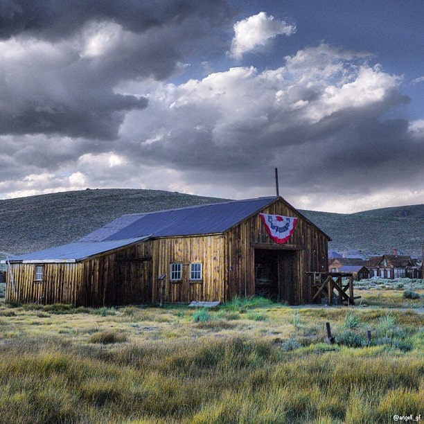 bodie