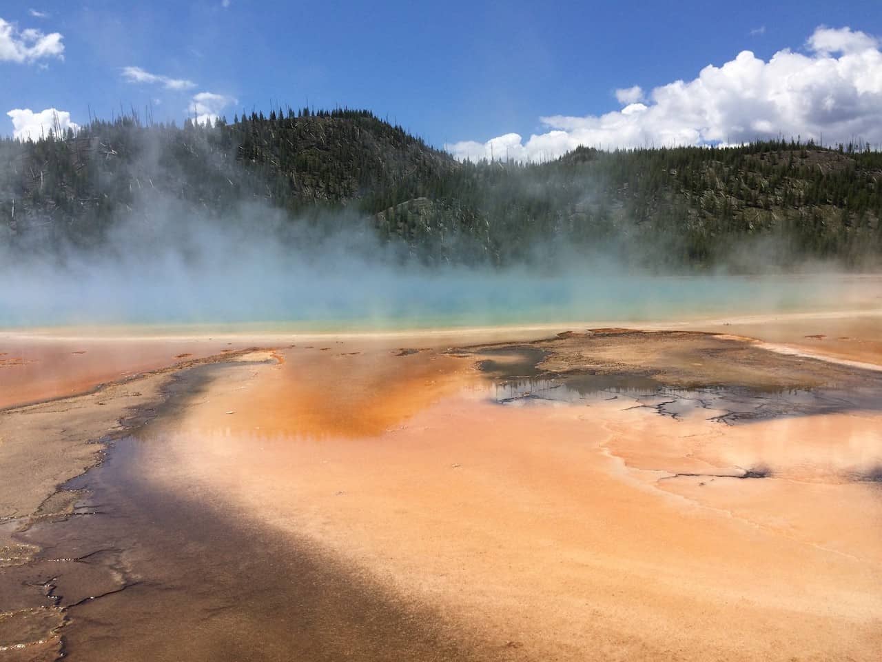 yellowstone national park cosa vedere