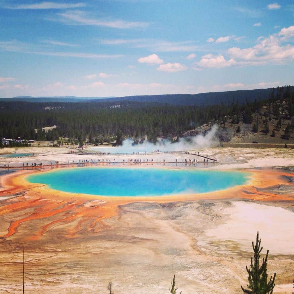 yellowstone parco usa