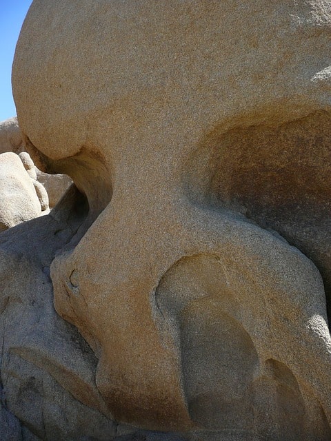 skull rock joshua tree