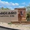 saguaro national park