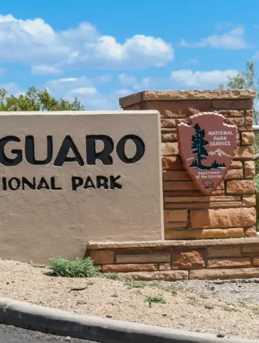 saguaro national park