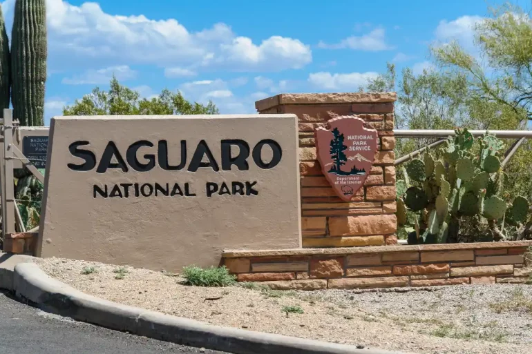 saguaro national park